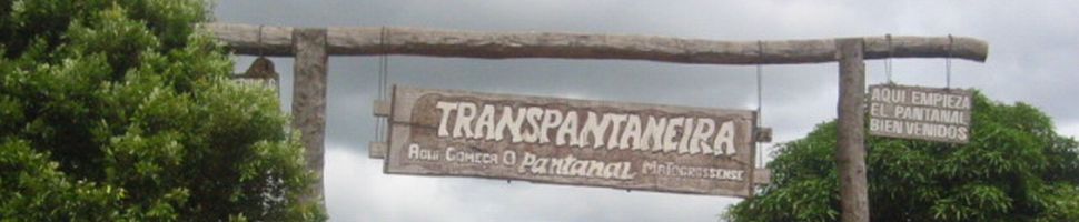 Transpantaneira