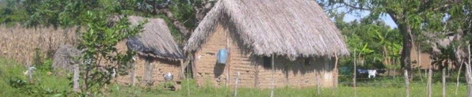 Huis in de Pantanal
